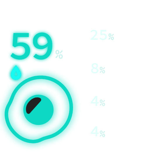 醤油43%、塩コショウ30%、ソース13%、マヨネーズ11%、何もかけない3%