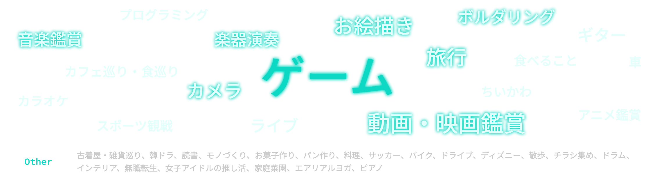 音楽鑑賞、ゲーム、動画鑑賞、映画鑑賞、写真撮影ほか